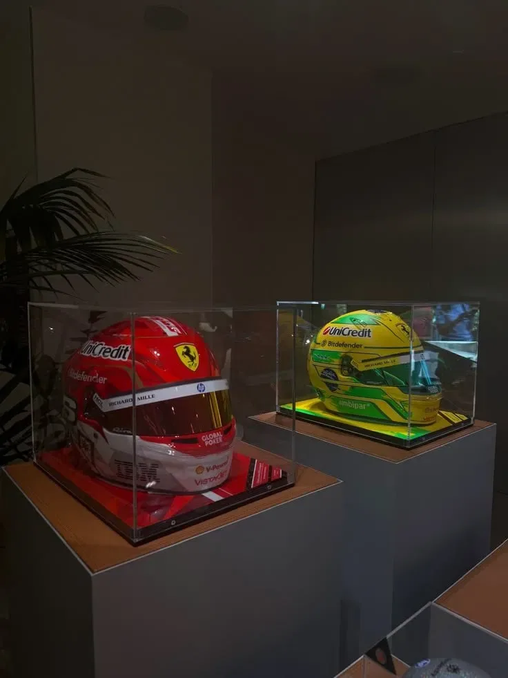 Collector's Helmet